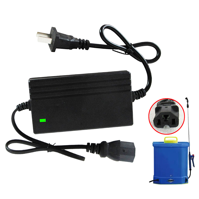 1A Lithium Battery Charger Spa - Power Tools Usa review and price